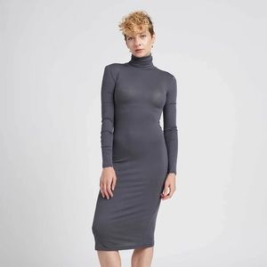 NWT Universal Standard Turtleneck Dress